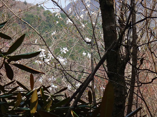 DSC07184.jpg