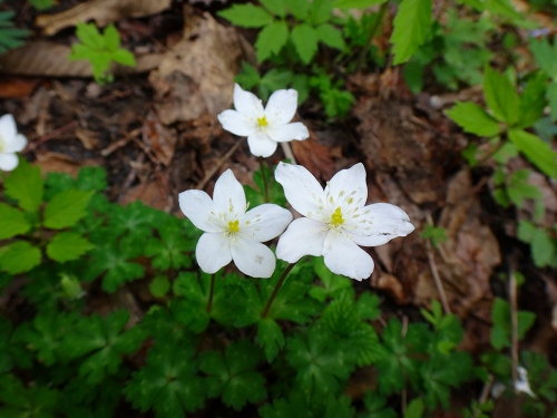 DSC07189.jpg