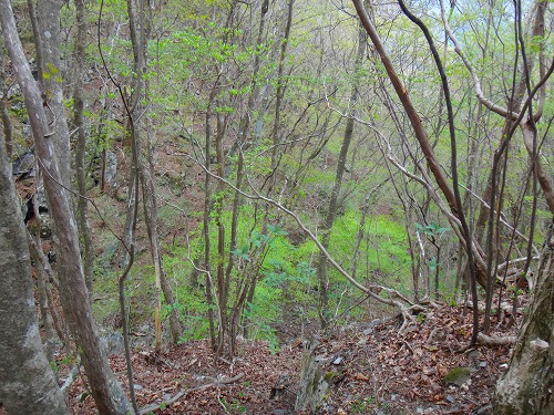 DSC07197.jpg