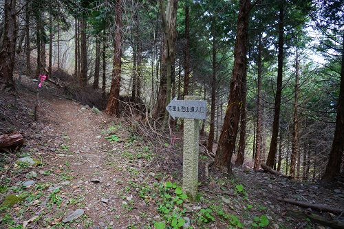 DSC02179.jpg