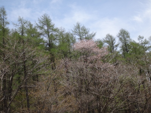 DSC07235.jpg