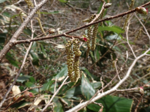 DSC07243.jpg