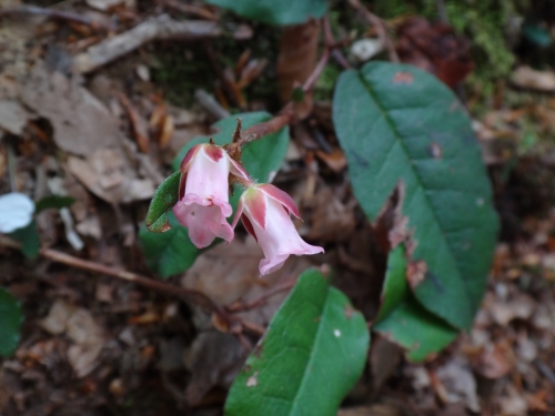 DSC07249.jpg