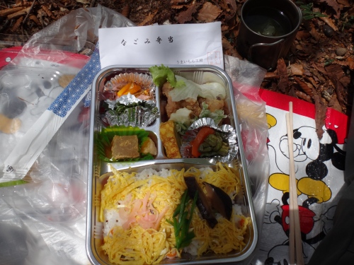 DSC07253.jpg