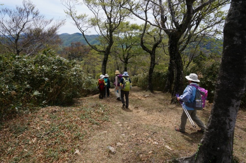 DSC02252.jpg