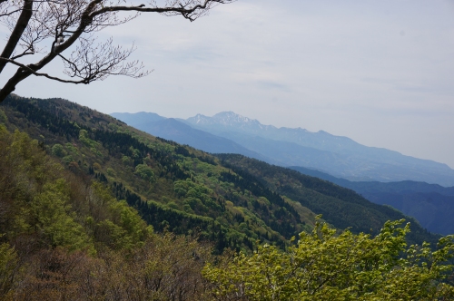 DSC02264.jpg