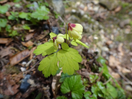 DSC07338.jpg
