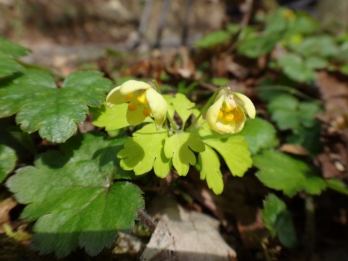 DSC07340.jpg