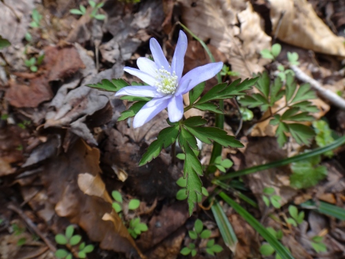 DSC07344.jpg