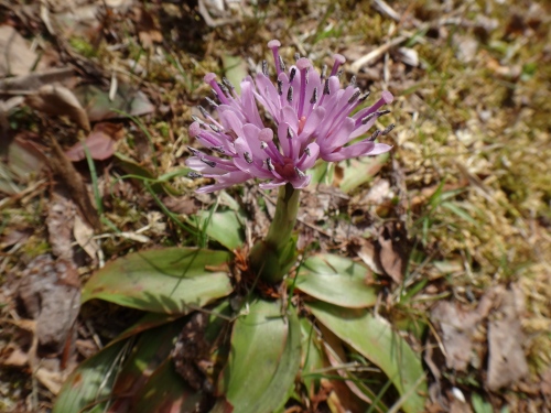DSC07386.jpg