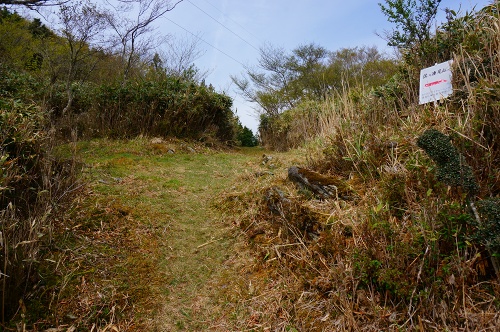DSC02309.jpg