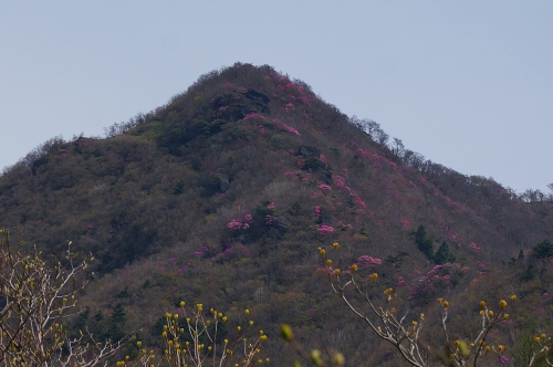 DSC02310.jpg