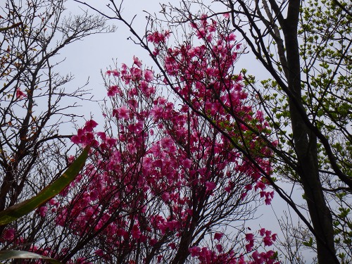 DSC07403.jpg