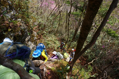 DSC02323.jpg