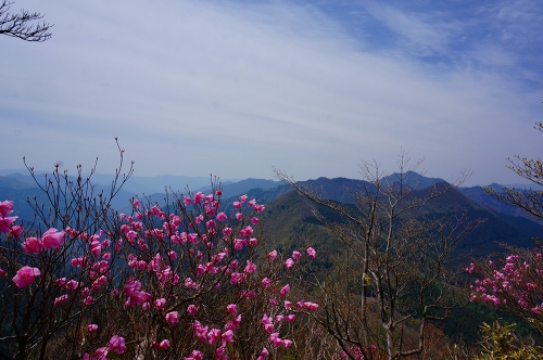 DSC02333.jpg