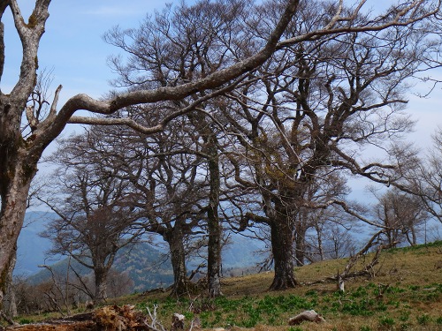 DSC07447.jpg