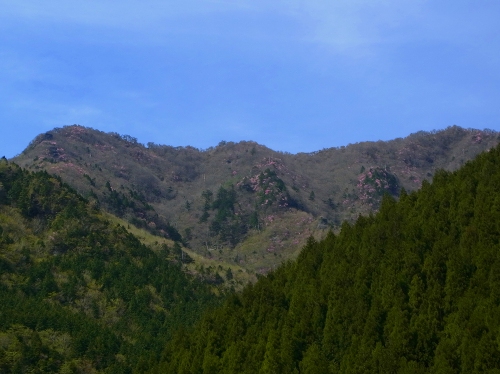 R0011546.jpg