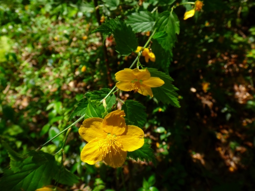 DSC07678.jpg
