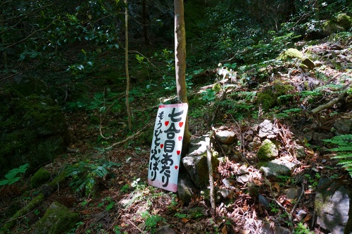 DSC02411.jpg