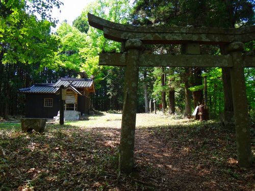 DSC07738.jpg