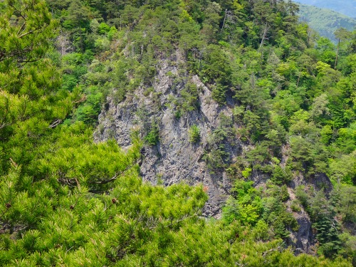 DSC07751.jpg