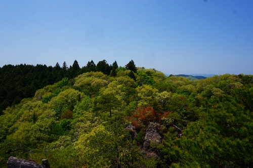 DSC02430.jpg