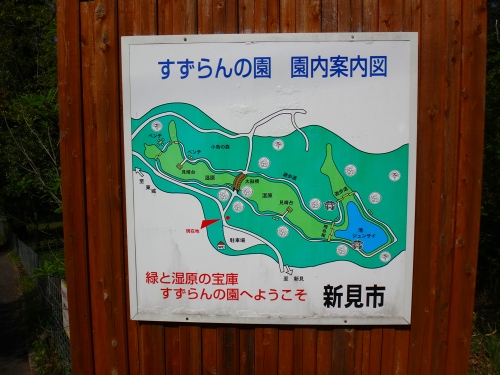 DSC07784.jpg