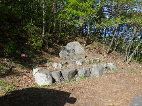 DSC01087.jpg
