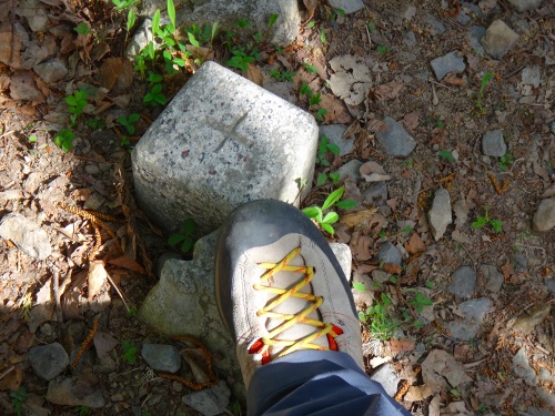 DSC07901.jpg