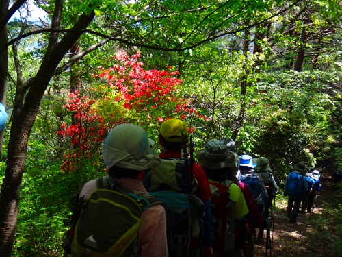 DSC07923.jpg