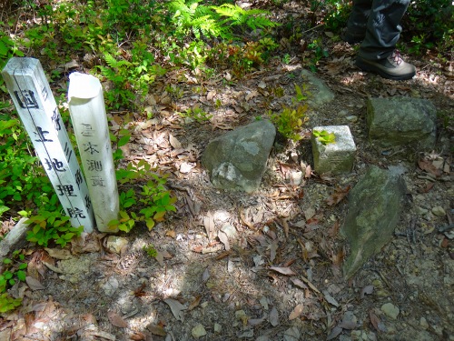 DSC07927.jpg