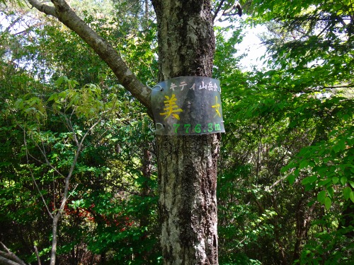 DSC07928.jpg