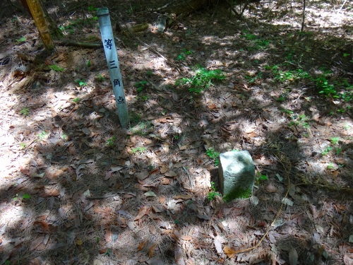 DSC07947.jpg
