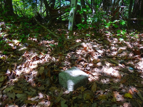 DSC07971.jpg