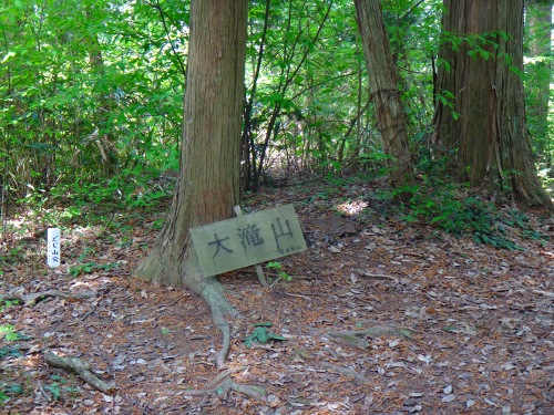 DSC07993.jpg