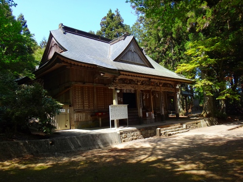 DSC07995.jpg