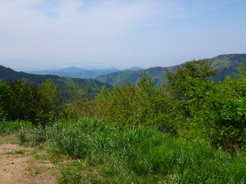 DSC08006.jpg