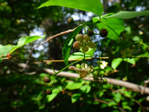 DSC08019.jpg