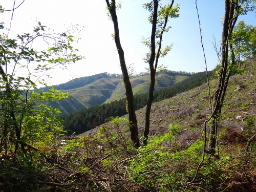 DSC01170.jpg