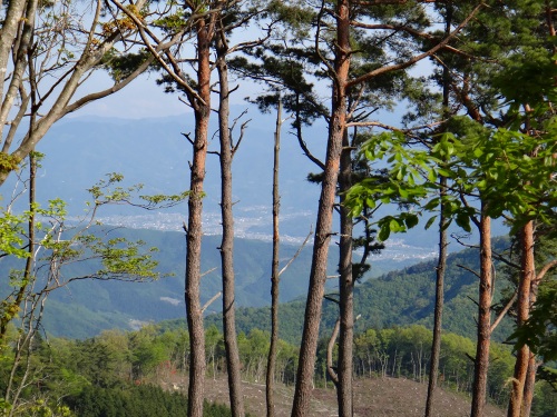 DSC01174.jpg
