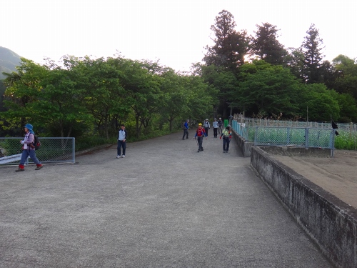 DSC01193.jpg