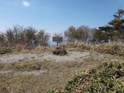 DSC01356.jpg