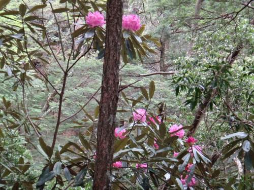 DSC01392.jpg
