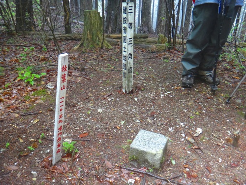 DSC01763.jpg