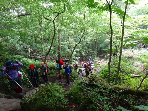 DSC01780.jpg