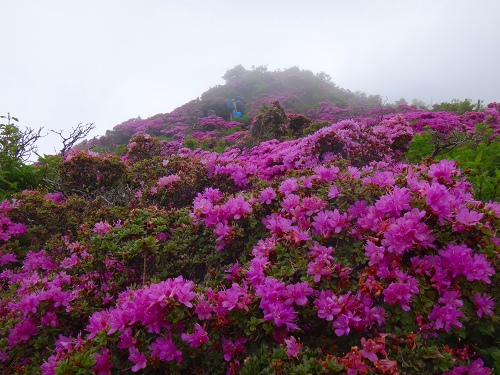 DSC09507.jpg