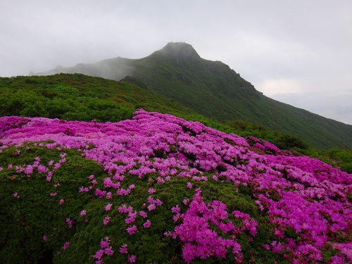 DSC09622.jpg