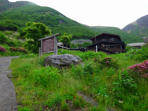 DSC09650.jpg