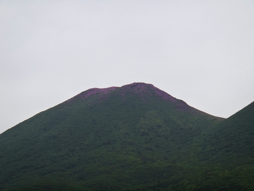 DSC01915.jpg