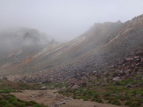 DSC09696.jpg